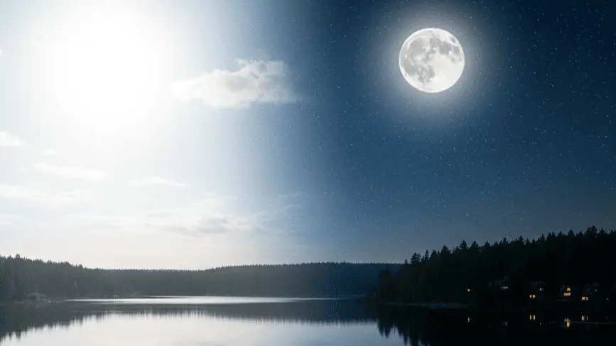 Study Skills Bootcamp